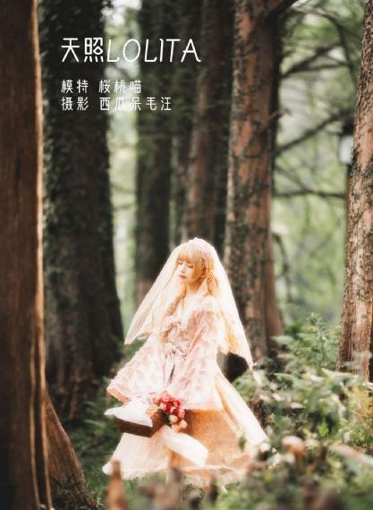 大团圆公交车大结局2电视剧